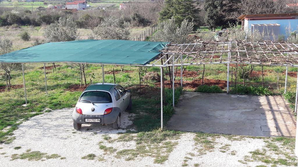 Apartment Greeny Galižana 외부 사진