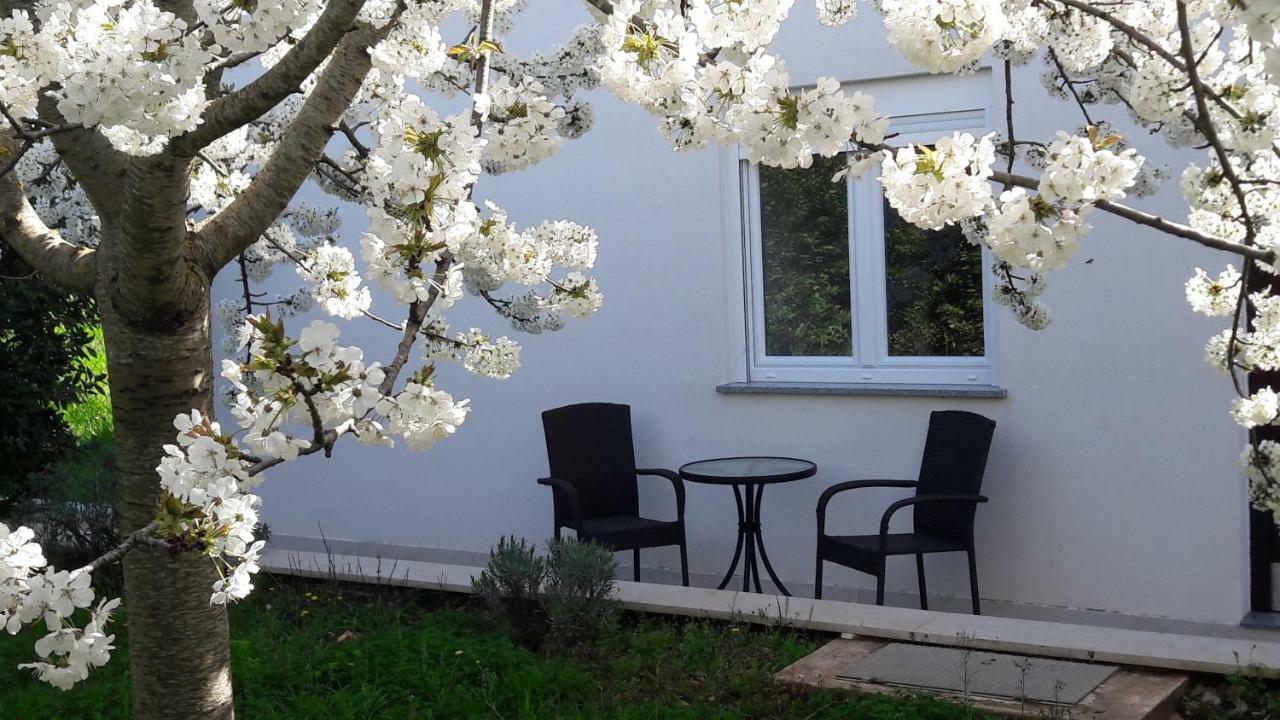 Apartment Greeny Galižana 외부 사진